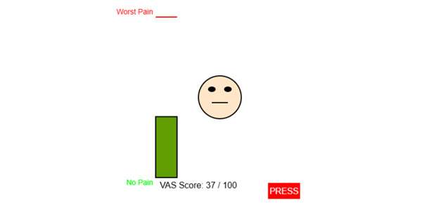Interactive VAS Pain Assessment Tool